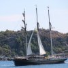 Tall Ship Race 2018