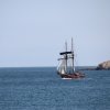 Tall Ship Race 2018